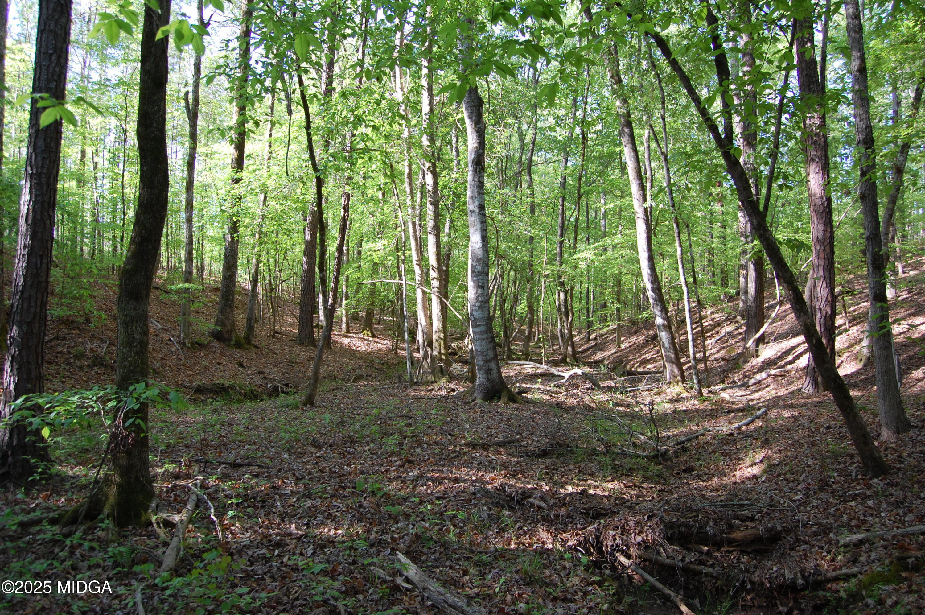 0 Watson Road Forsyth, GA 31029 - Photo 4 of 19 a view of backyard with green space