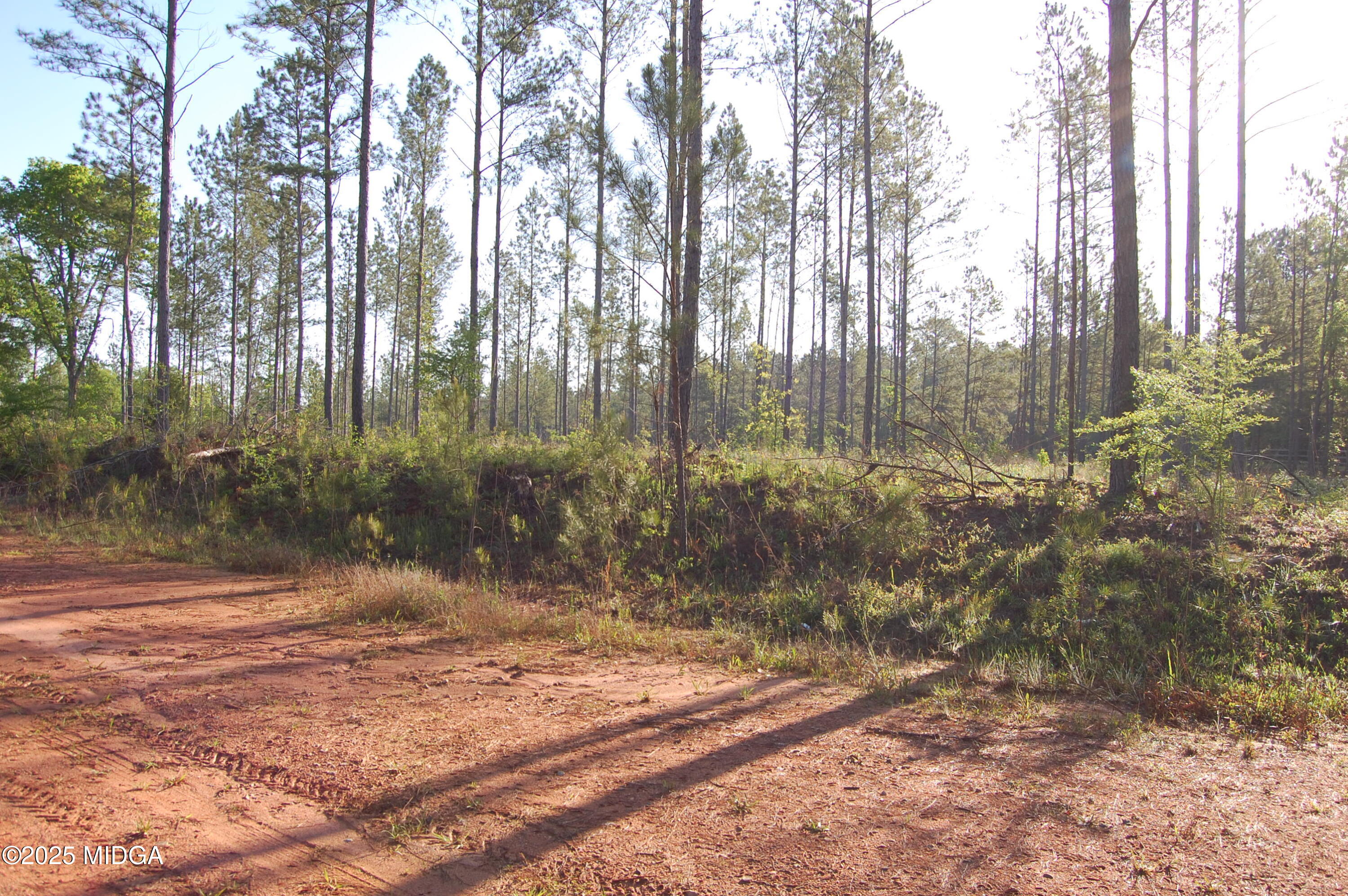 0 Watson Road Forsyth, GA 31029 - Photo 7 of 19 a view of backyard with green space