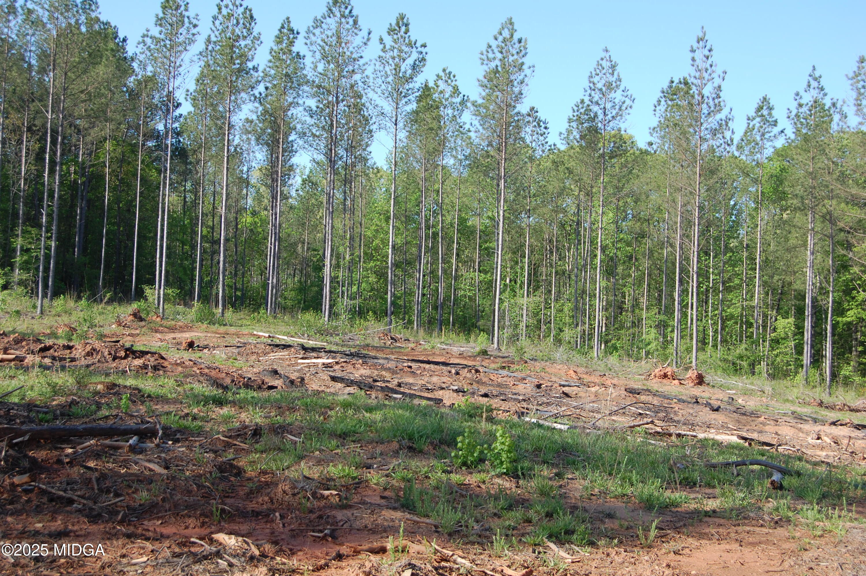 0 Watson Road Forsyth, GA 31029 - Photo 10 of 19 a view of outdoor space with trees