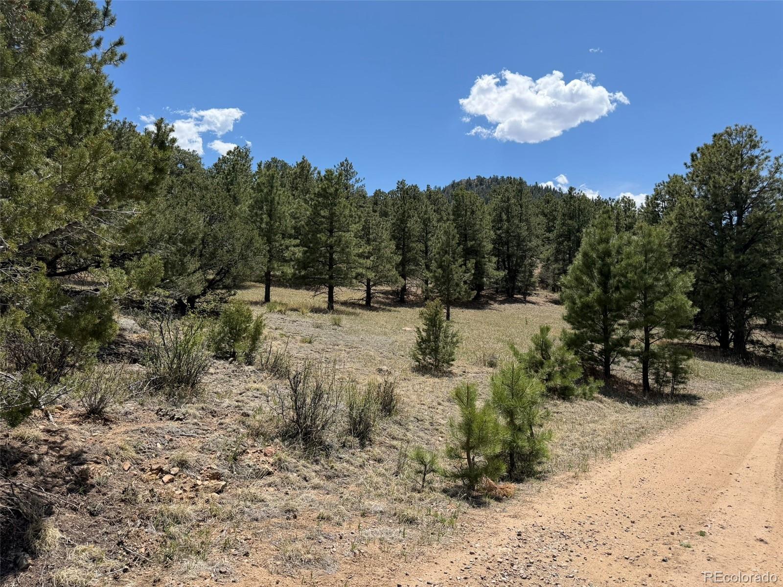 477 Bear Peak Road Westcliffe, CO 81252 - Photo 39 of 39