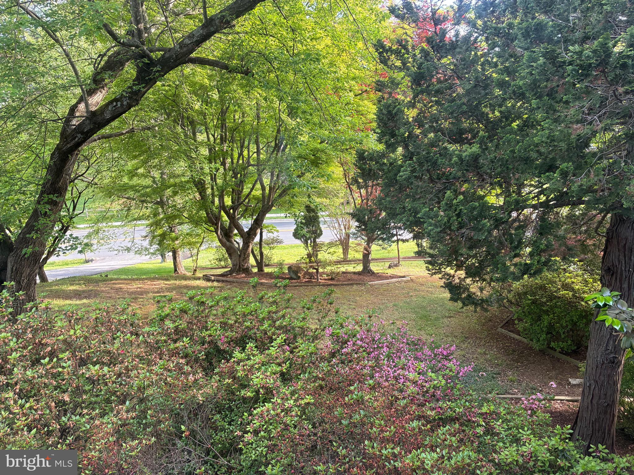 6144 Chesterbrook Road McLean, VA 22101 - Photo 7 of 53