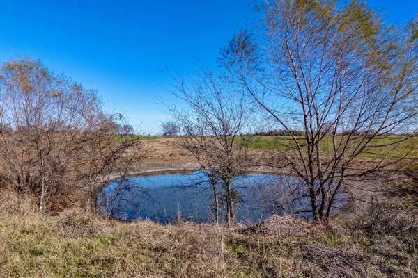 a view of backyard with large trees