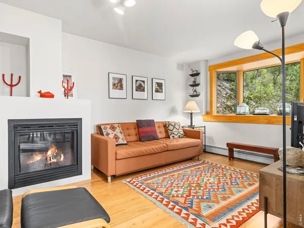 a living room with furniture a rug and a fireplace