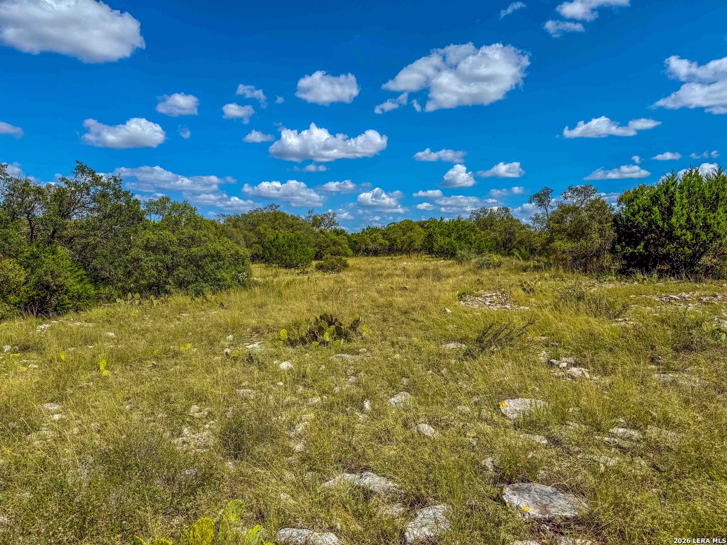 20945 Cactus Road Christoval, TX 76935 - Photo 13 of 32