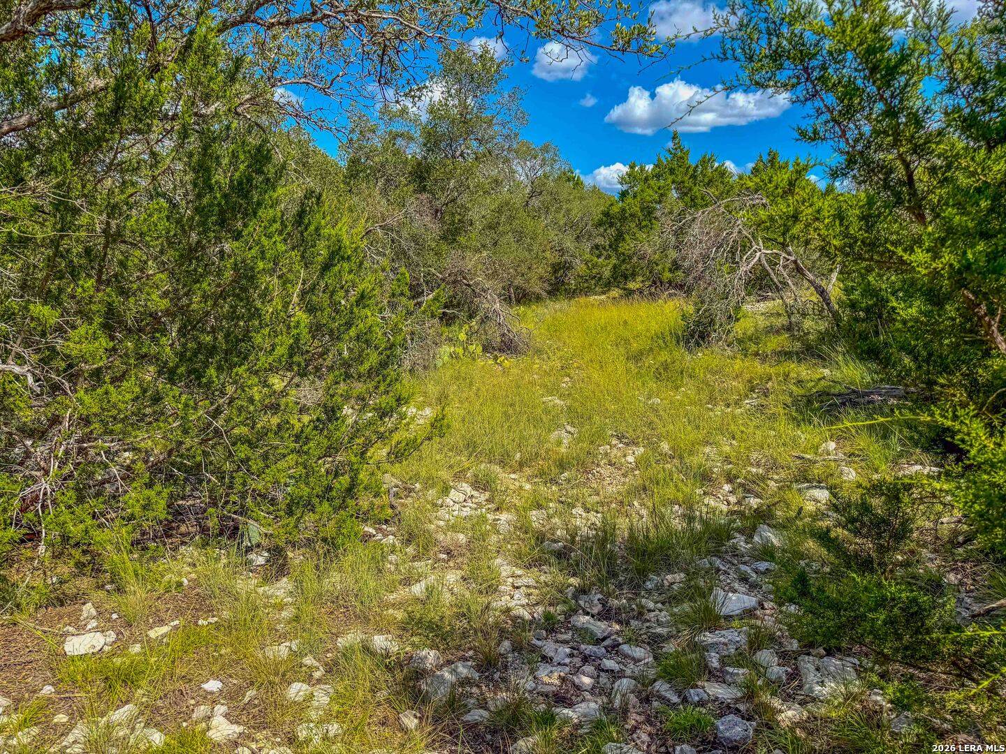 20945 Cactus Road Christoval, TX 76935 - Photo 14 of 32
