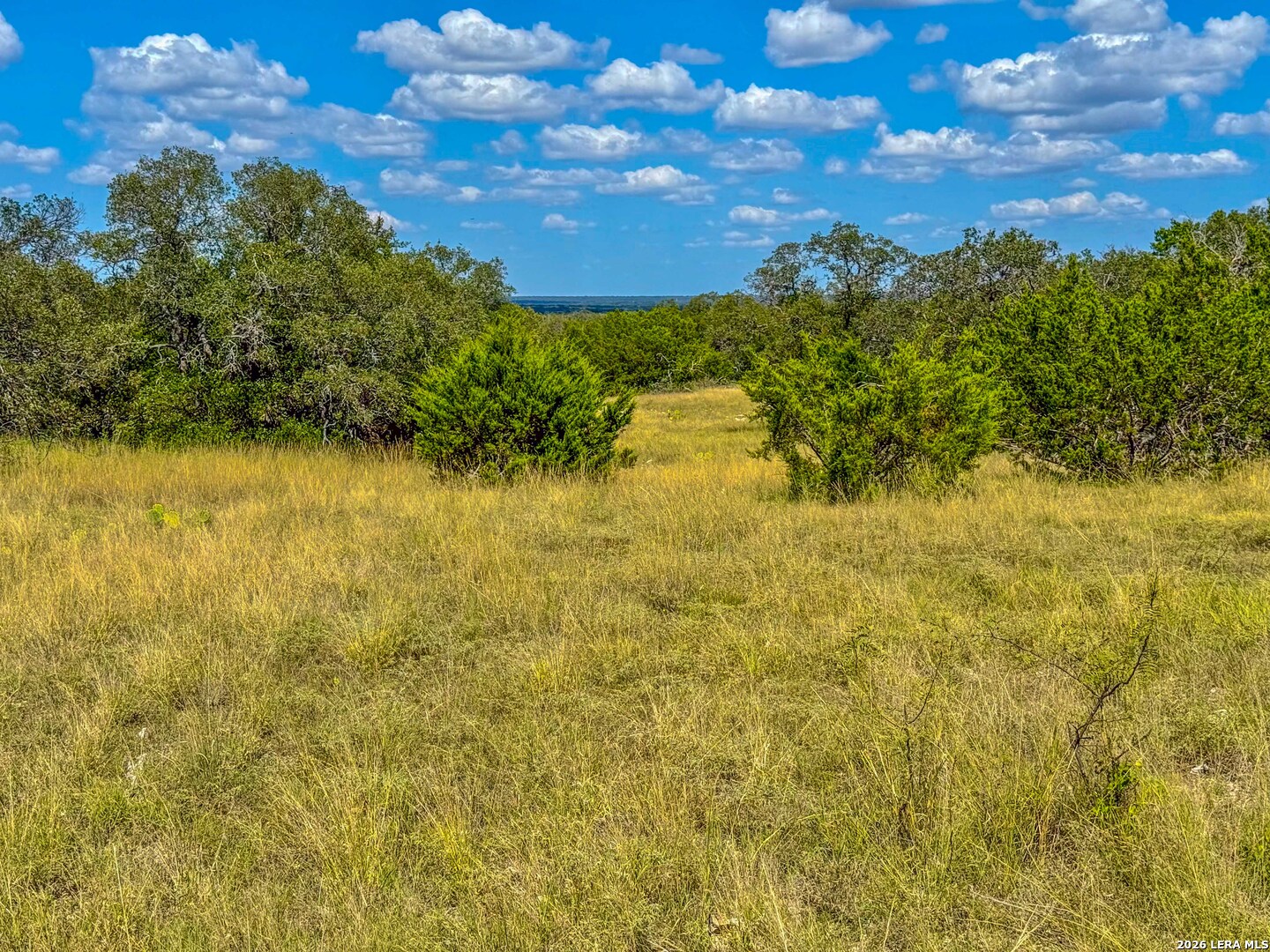 20945 Cactus Road Christoval, TX 76935 - Photo 15 of 32