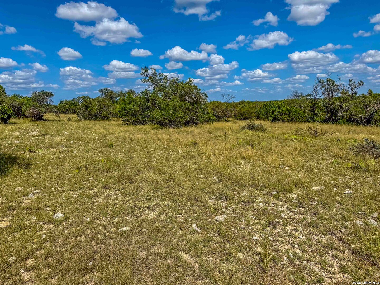 20945 Cactus Road Christoval, TX 76935 - Photo 16 of 32