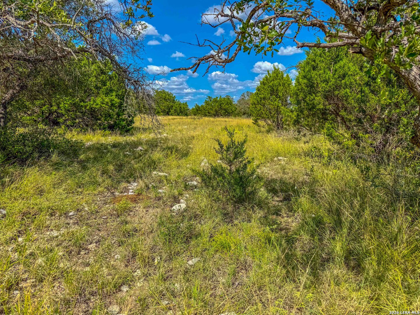 20945 Cactus Road Christoval, TX 76935 - Photo 17 of 32