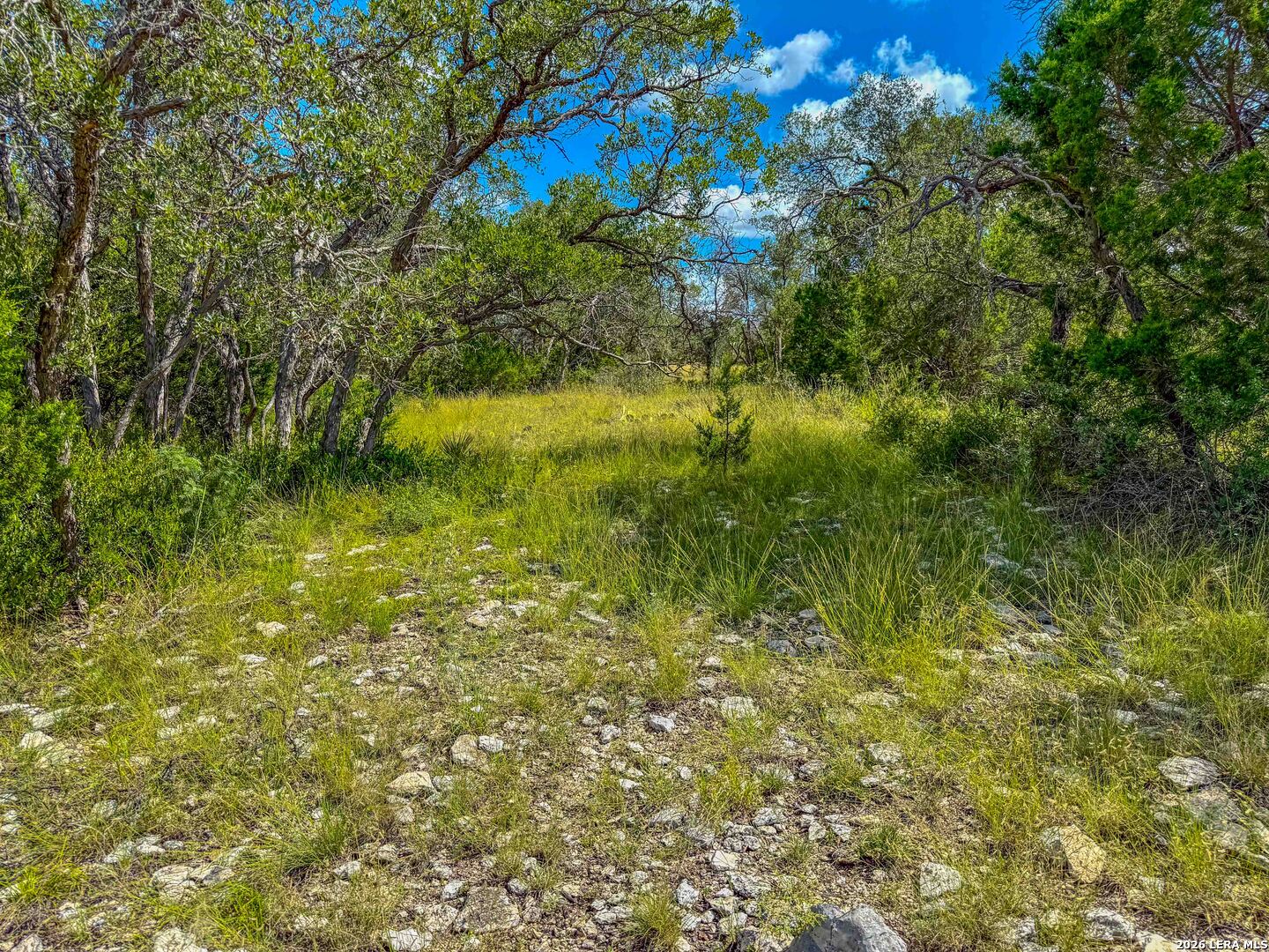 20945 Cactus Road Christoval, TX 76935 - Photo 19 of 32