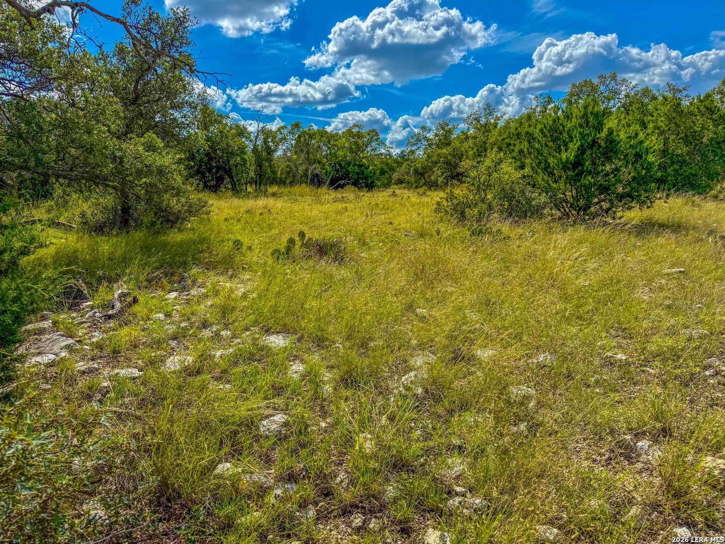 20945 Cactus Road Christoval, TX 76935 - Photo 21 of 32