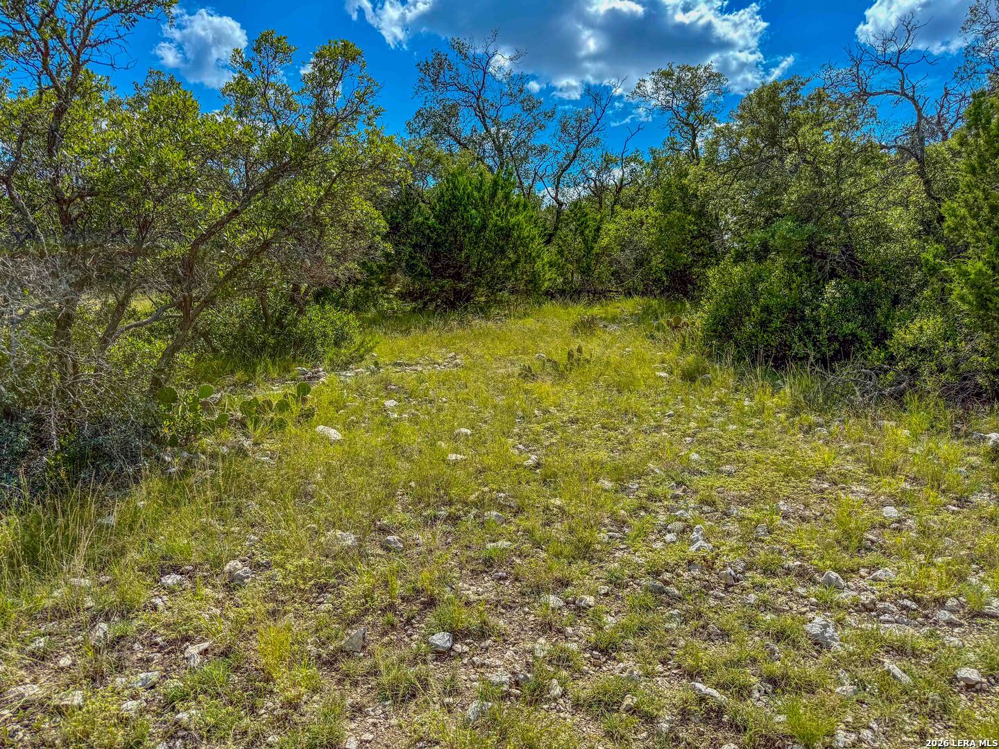 20945 Cactus Road Christoval, TX 76935 - Photo 22 of 32