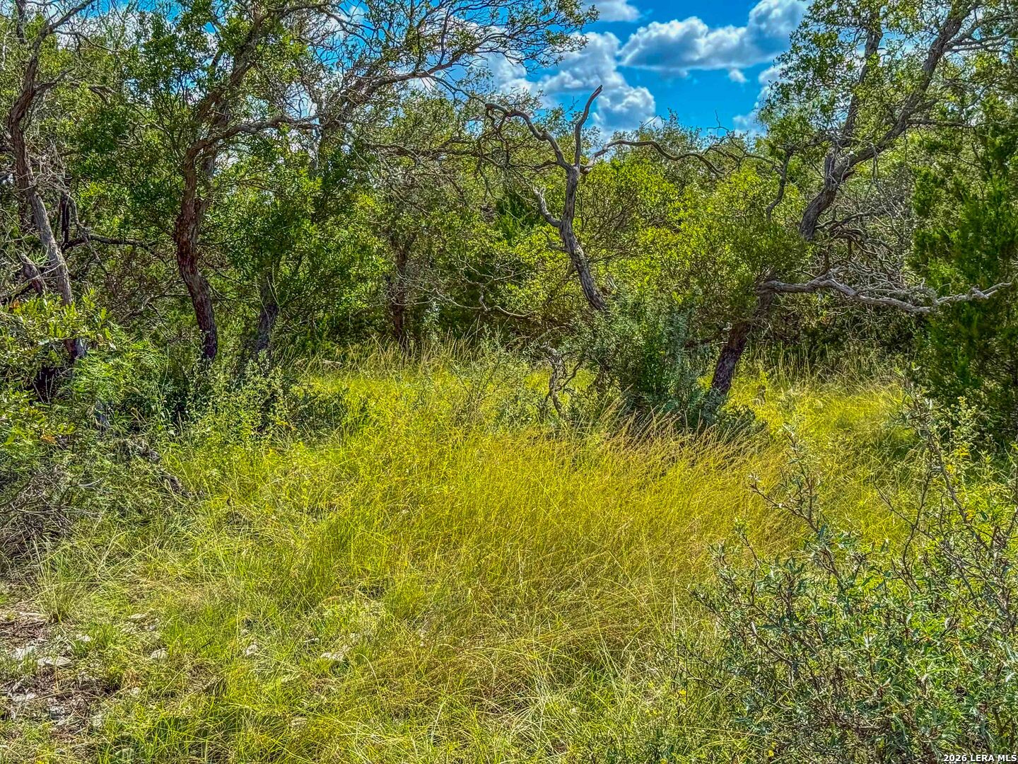 20945 Cactus Road Christoval, TX 76935 - Photo 25 of 32