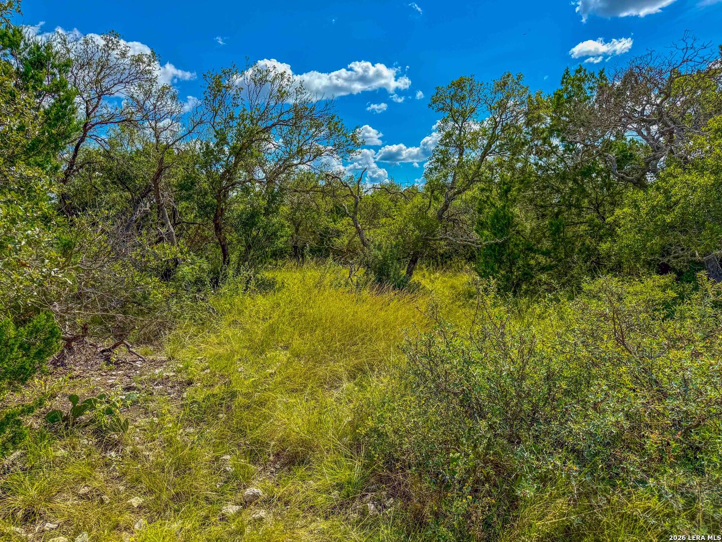 20945 Cactus Road Christoval, TX 76935 - Photo 26 of 32
