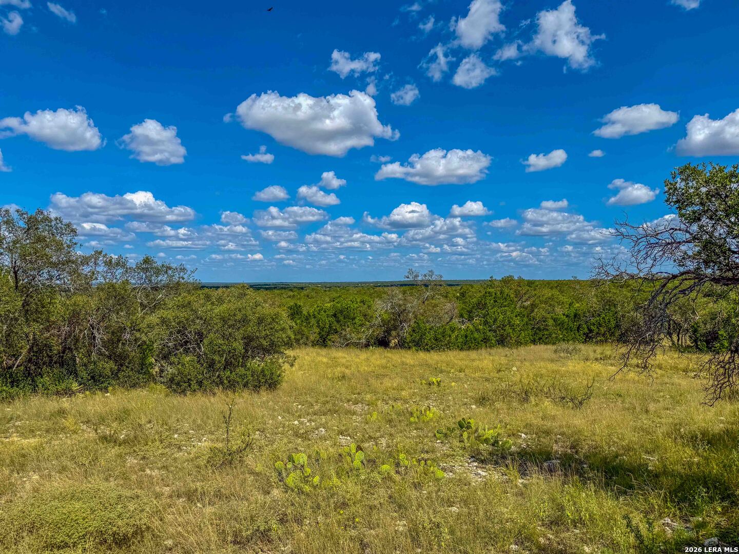 20945 Cactus Road Christoval, TX 76935 - Photo 27 of 32