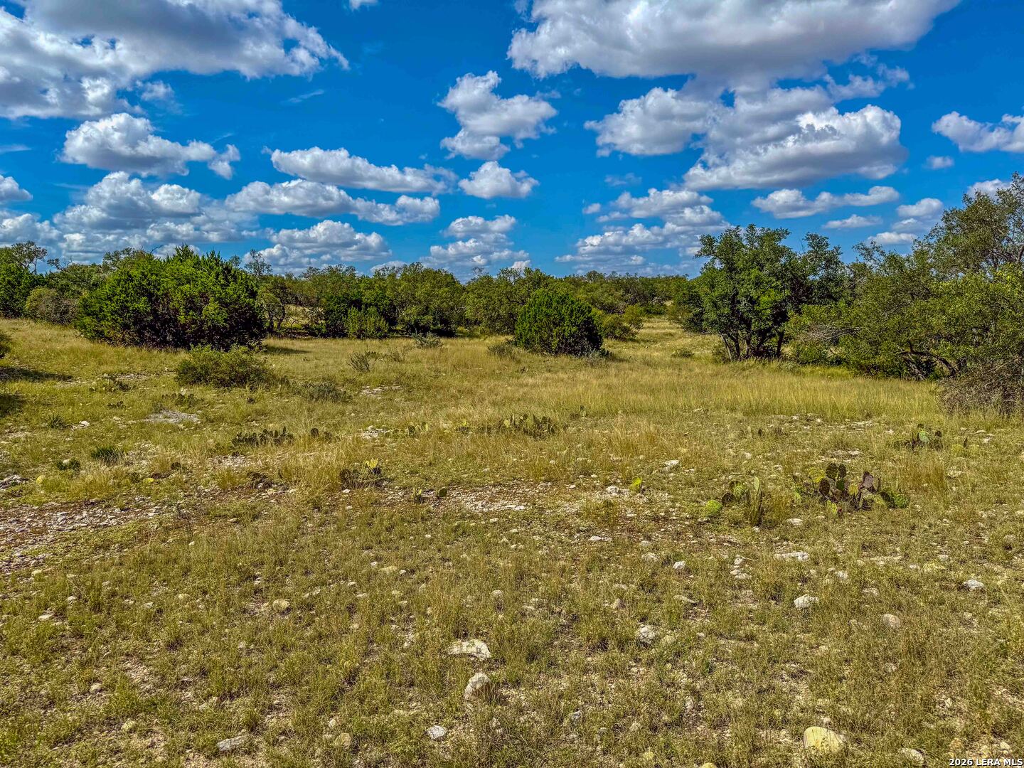 20945 Cactus Road Christoval, TX 76935 - Photo 3 of 32