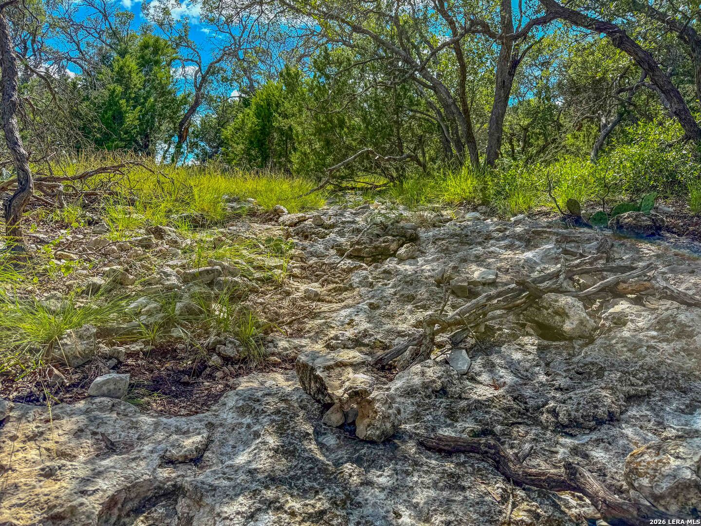 20945 Cactus Road Christoval, TX 76935 - Photo 4 of 32