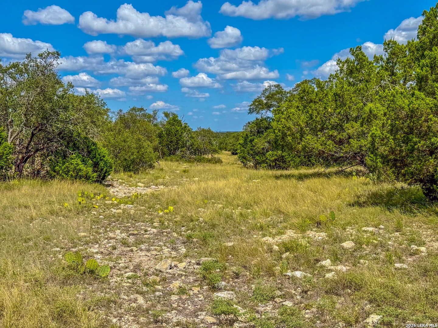 20945 Cactus Road Christoval, TX 76935 - Photo 8 of 32