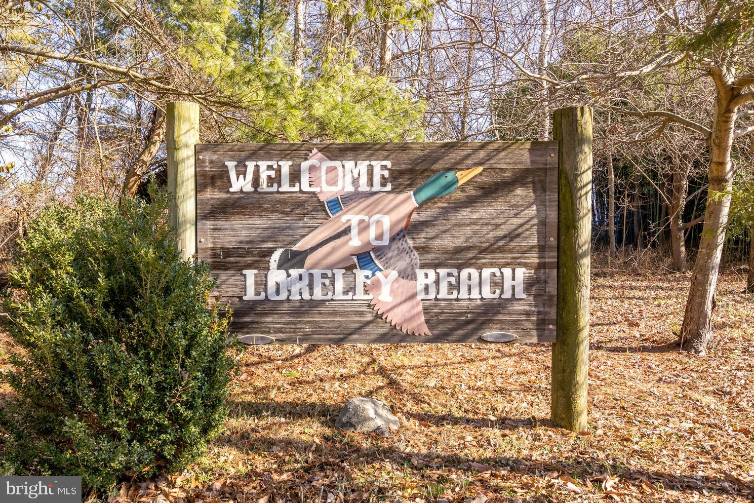 6005 Loreley Beach Road White Marsh, MD 21162 - Photo 2 of 12