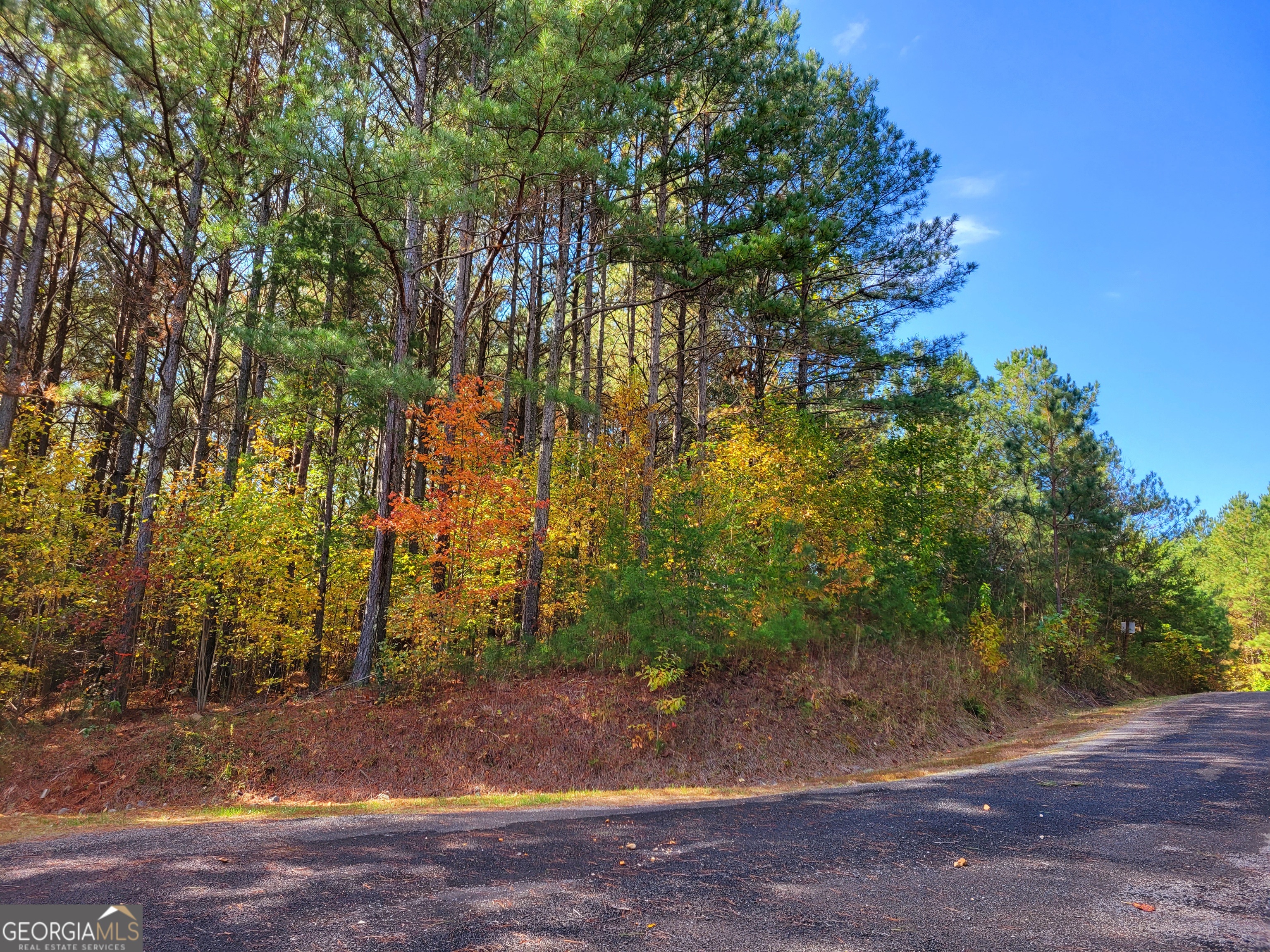 Lot 7 Ridge Top Drive, Unit 7 Ellijay, GA 30536 - Photo 1 of 1 Gallery Image 1
