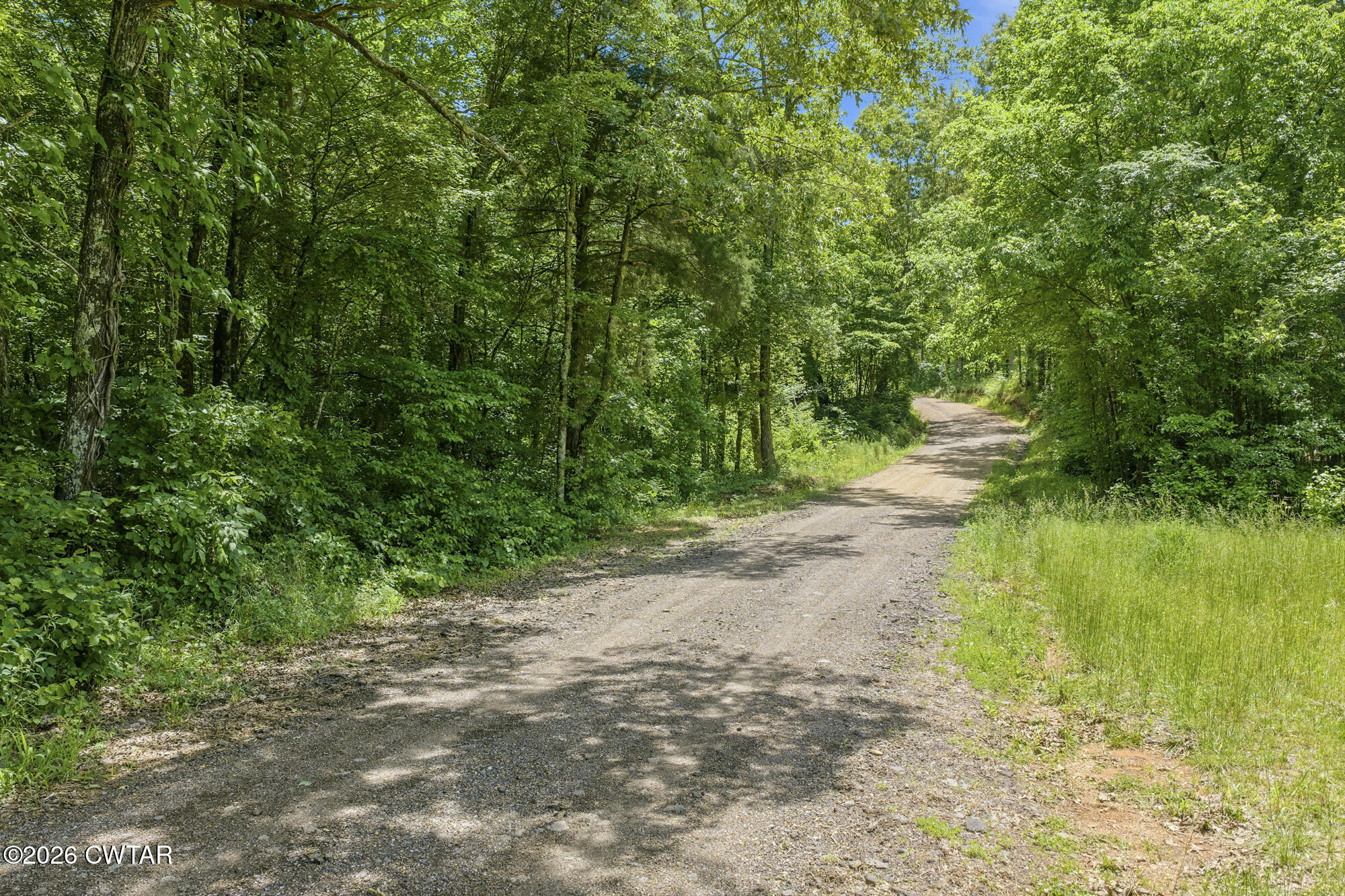 0 Gately Road Somerville, TN 38068 - Photo 1 of 17 a view of a yard with a tree