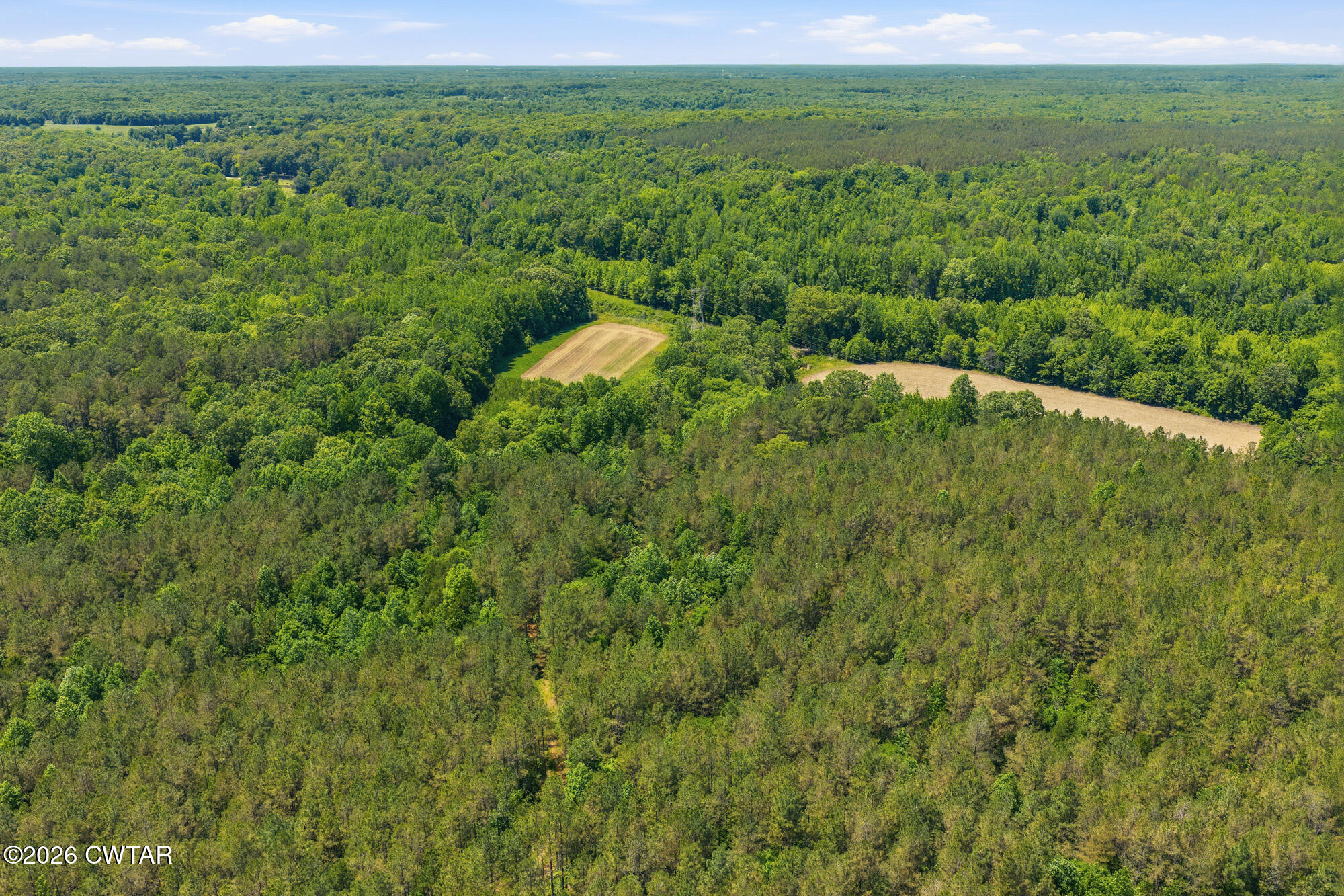 0 Gately Road Somerville, TN 38068 - Photo 11 of 17 a view of a lush green forest with a houses