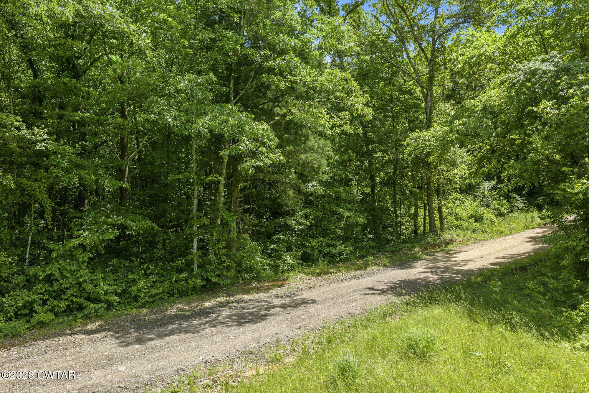 0 Gately Road Somerville, TN 38068 - Photo 16 of 17 a view of a yard with plants and large trees