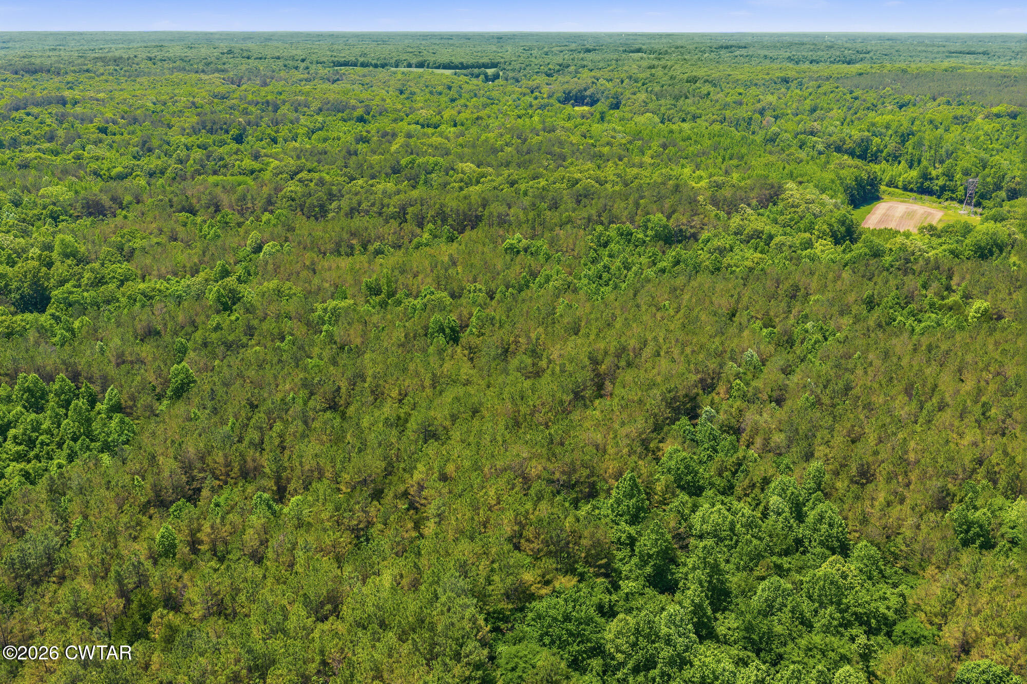 0 Gately Road Somerville, TN 38068 - Photo 17 of 17 a view of a lush green field