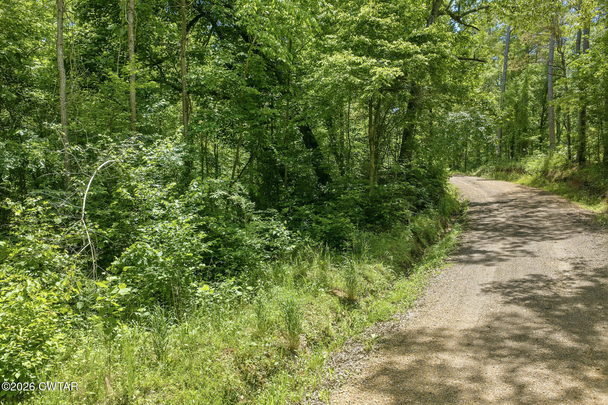 0 Gately Road Somerville, TN 38068 - Photo 6 of 17 a view of a lush green forest