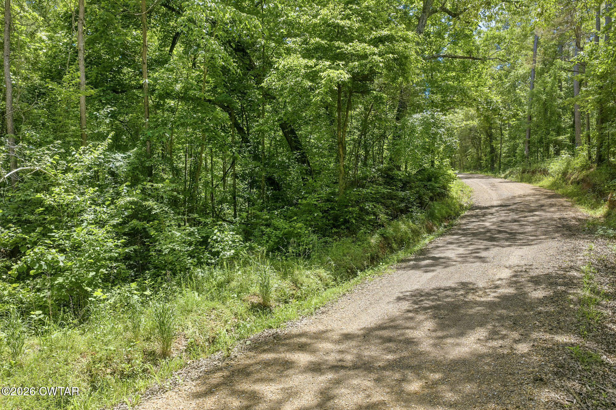 0 Gately Road Somerville, TN 38068 - Photo 7 of 17 a view of a yard with plants and large trees