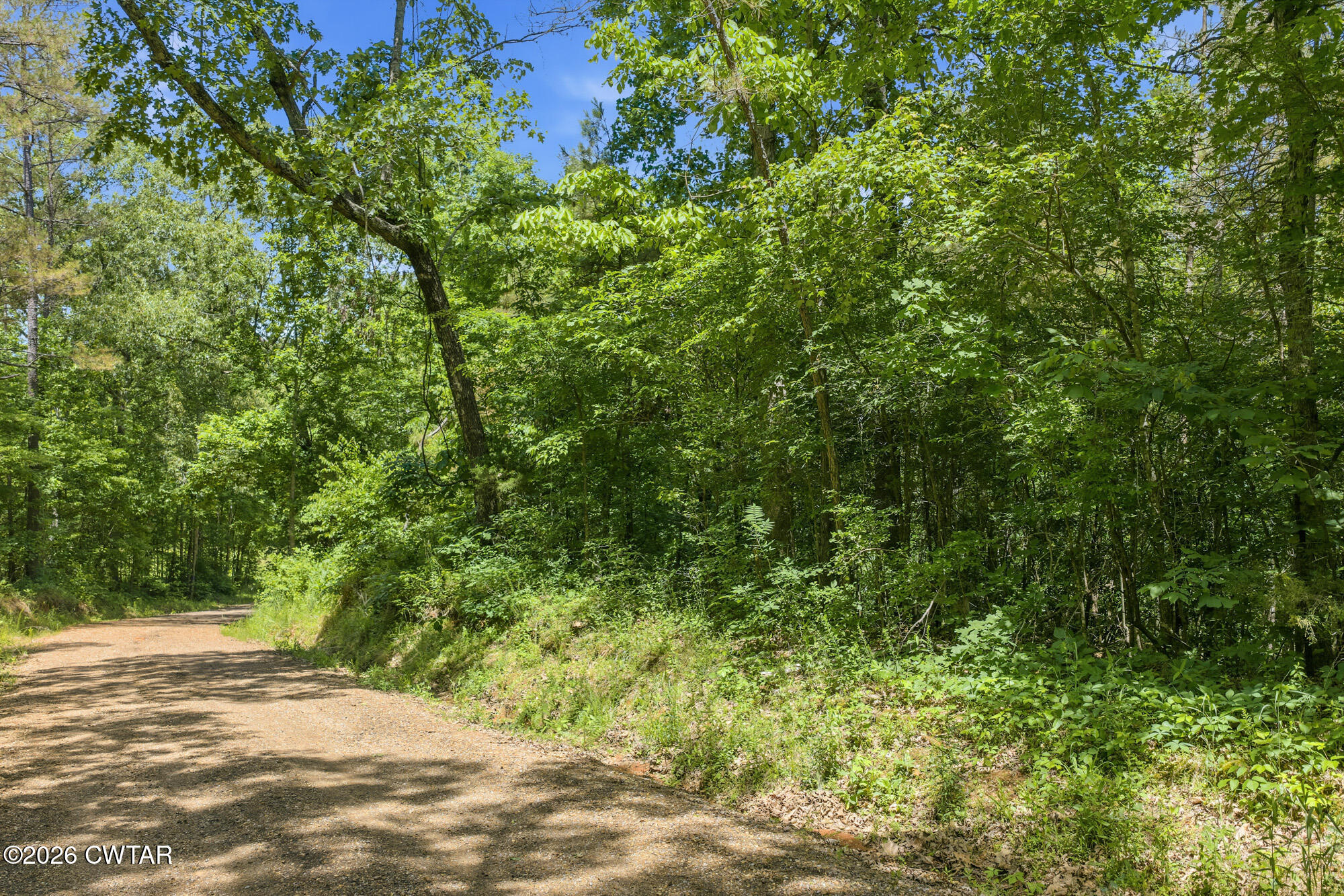 0 Gately Road Somerville, TN 38068 - Photo 9 of 17 a view of a yard with plants and large trees