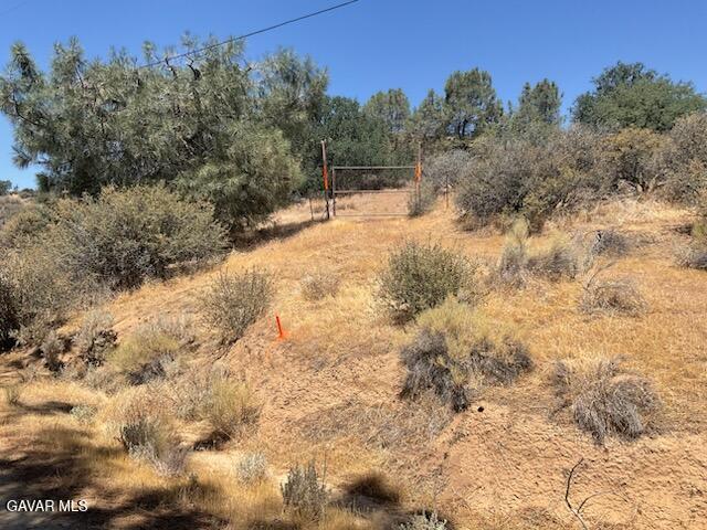 Rancharia Creek Road Caliente, CA 93518 - Photo 2 of 11 IMG_0108