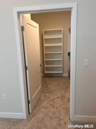 a view of room and closet