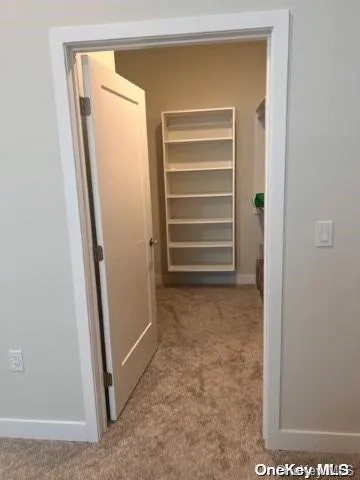 a view of room and closet