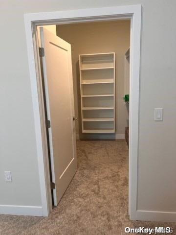 201 Jerusalem Hollow Road Manorville, NY 11949 - Photo 12 of 15 a view of room and closet
