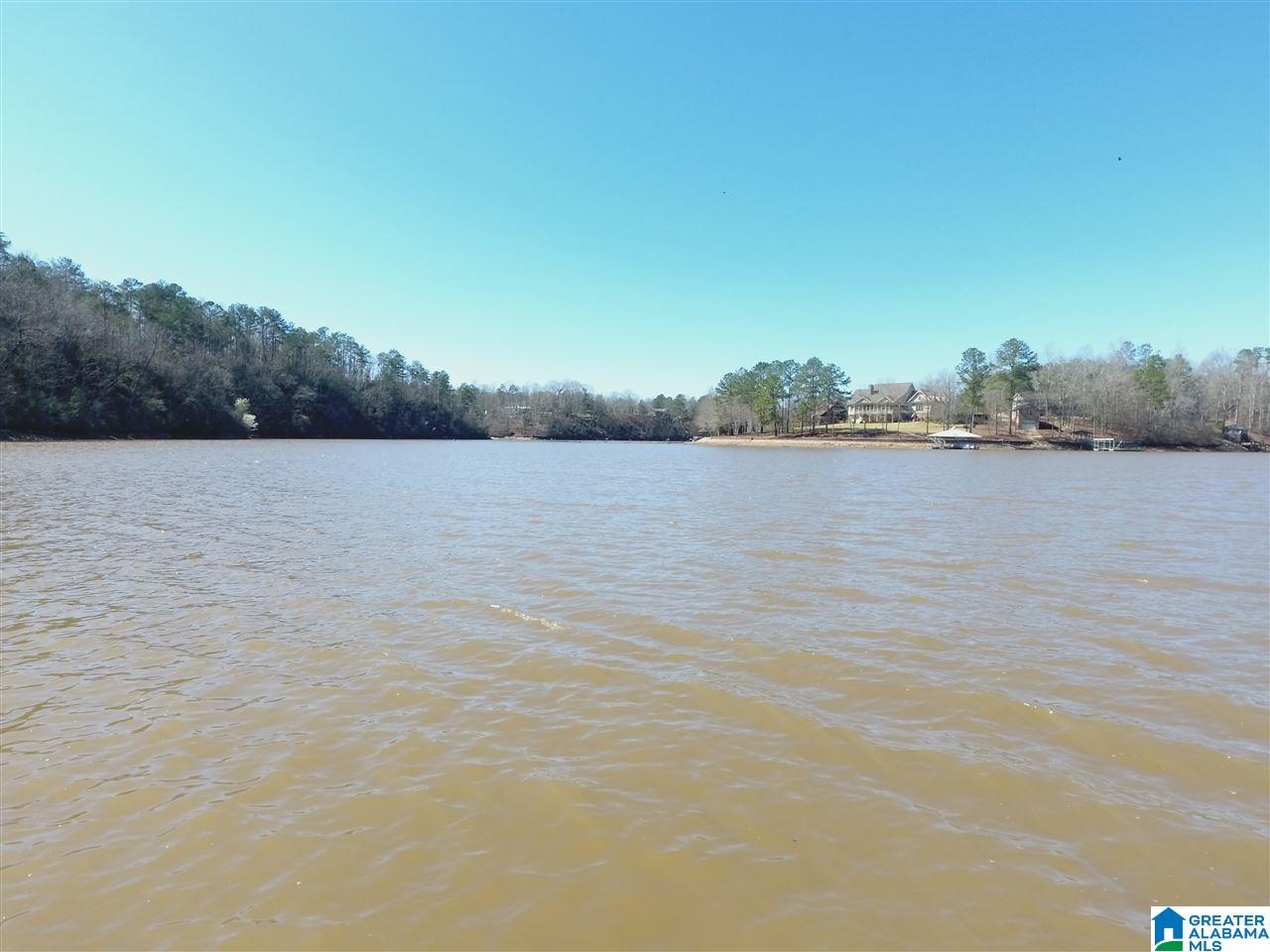 46 Ridgeview Court, Unit LOT #46 Wedowee, AL 36278 - Photo 13 of 15
