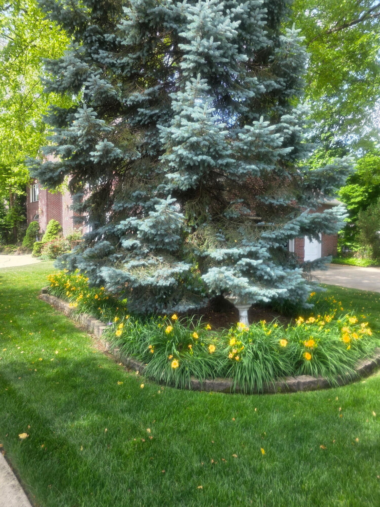 7412 Forest Ridge Drive Schererville, IN 46375 - Photo 56 of 67 1500x2000