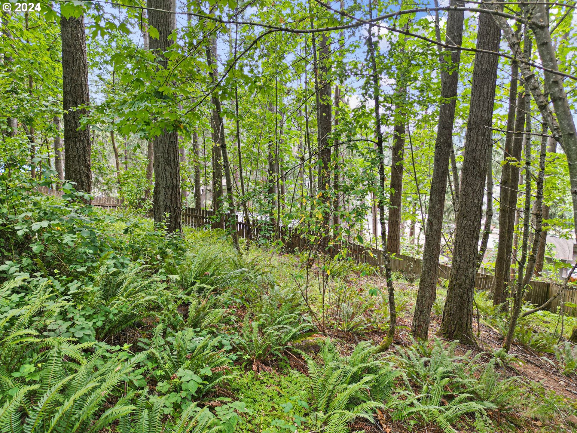 626 South 73rd Street Springfield, OR 97478 - Photo 44 of 46 a plant view in yard