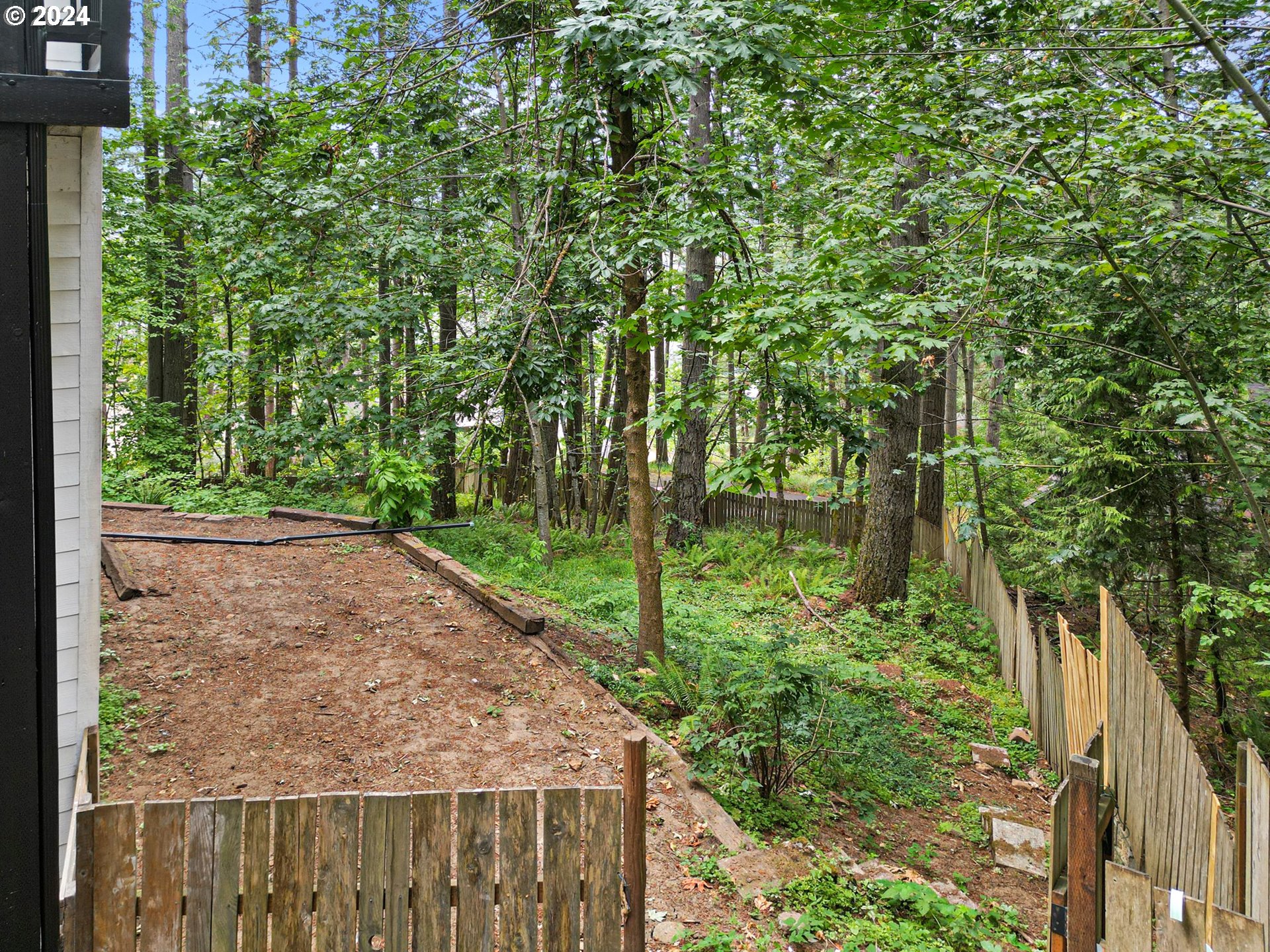 626 South 73rd Street Springfield, OR 97478 - Photo 45 of 46 a view of a backyard