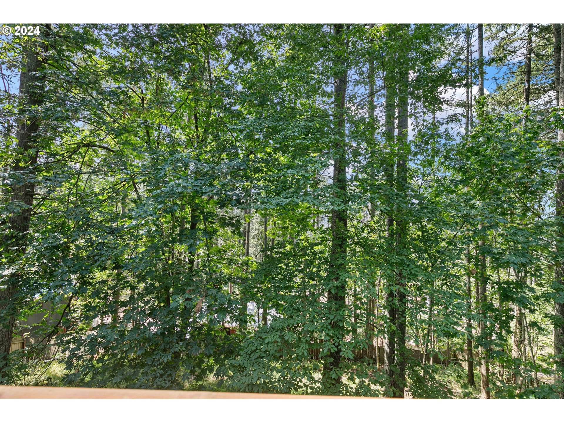 626 South 73rd Street Springfield, OR 97478 - Photo 8 of 46 a view of a lush green forest
