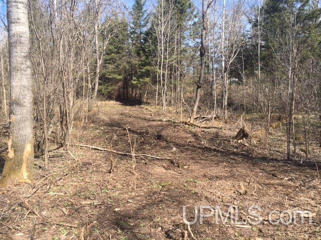 Tbd Brule River Alpha, MI 49902 - Photo 6 of 10