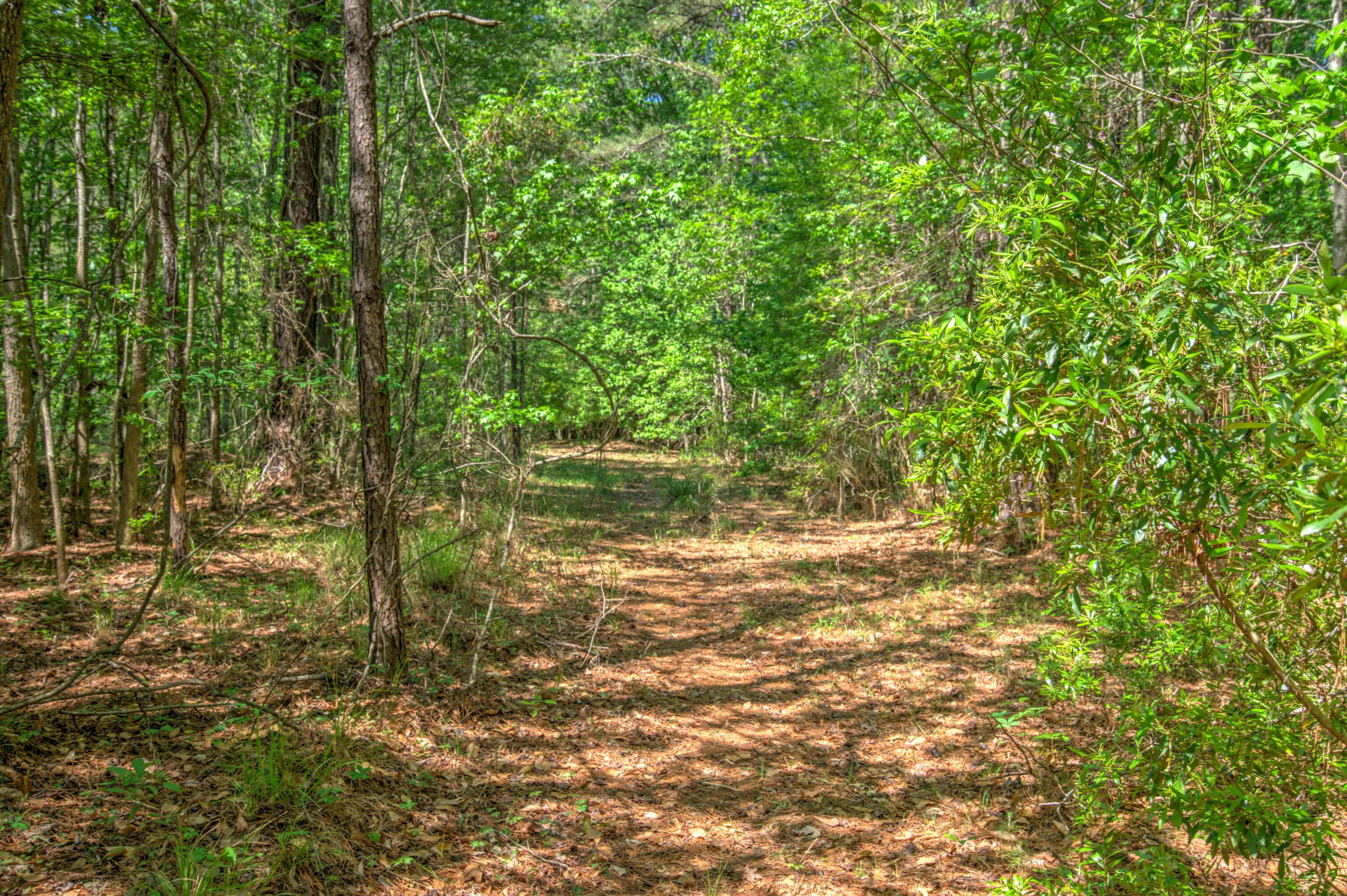 2033 Tacoma Circle Ridgeville, SC 29472 - Photo 12 of 20 DSC09346_7_8Optimizer Custom Settings