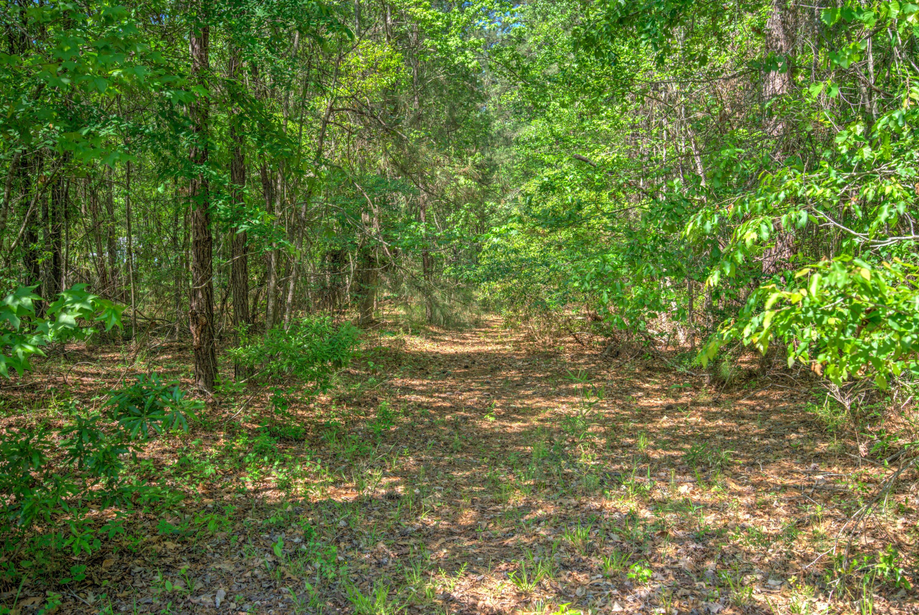 2033 Tacoma Circle Ridgeville, SC 29472 - Photo 13 of 20 DSC09343_4_5Optimizer Custom Settings