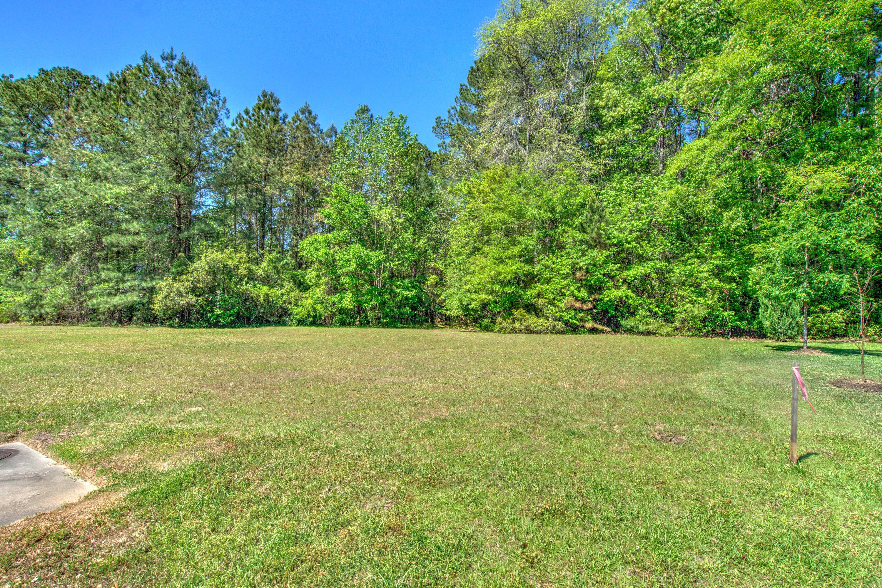 2033 Tacoma Circle Ridgeville, SC 29472 - Photo 14 of 20 DSC09340_1_2Optimizer Custom Settings