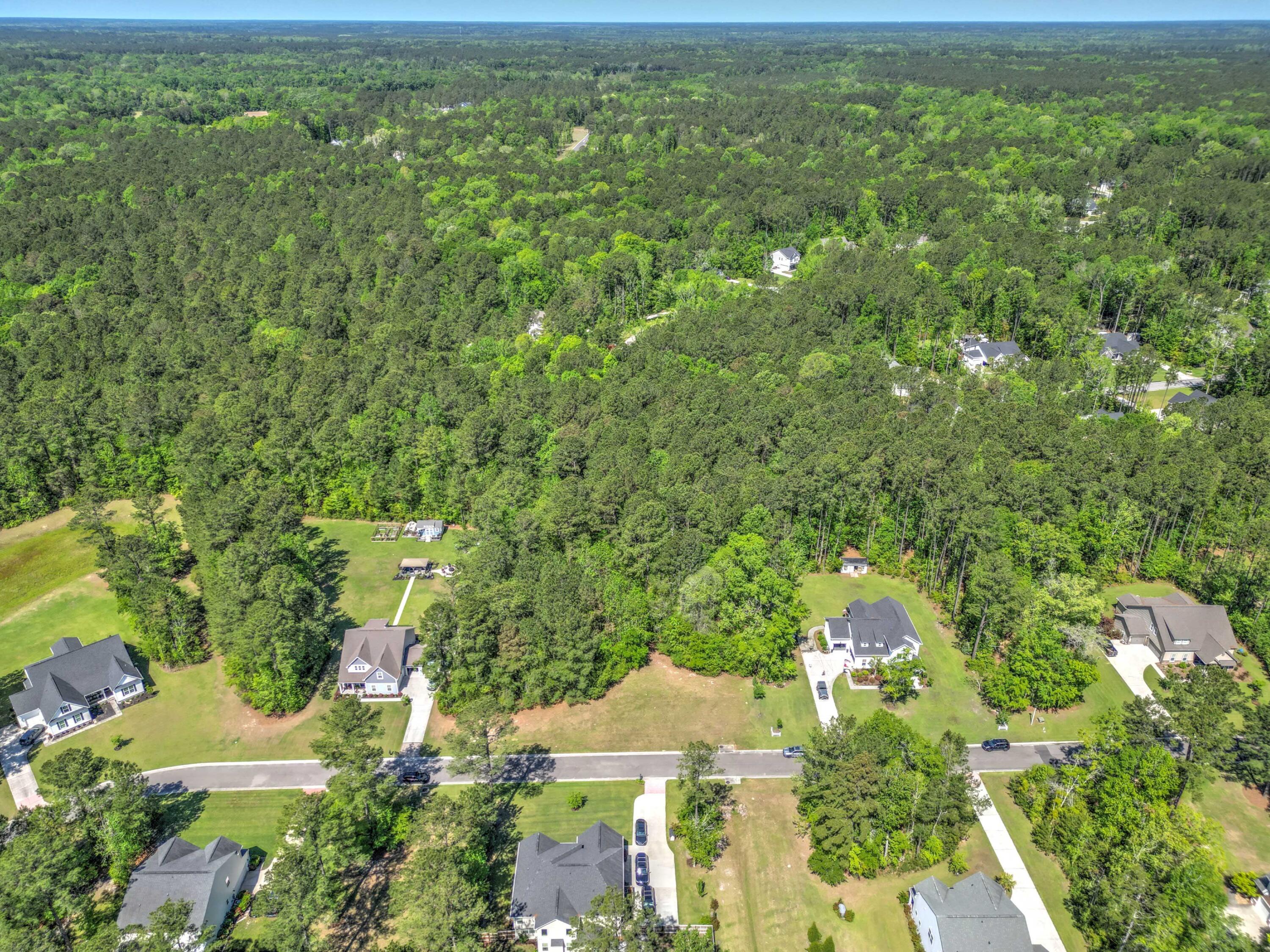 2033 Tacoma Circle Ridgeville, SC 29472 - Photo 8 of 20 DJI_0979_80_81Optimizer Custom Settings