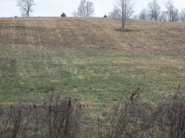 0 Shores Road Leoma, TN 38468 - Photo 1 of 18 Gallery Image 1