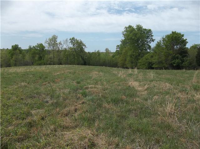 0 Shores Road Leoma, TN 38468 - Photo 11 of 18 Gallery Image 11