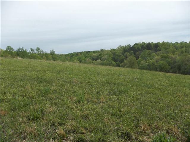 0 Shores Road Leoma, TN 38468 - Photo 12 of 18 Gallery Image 12