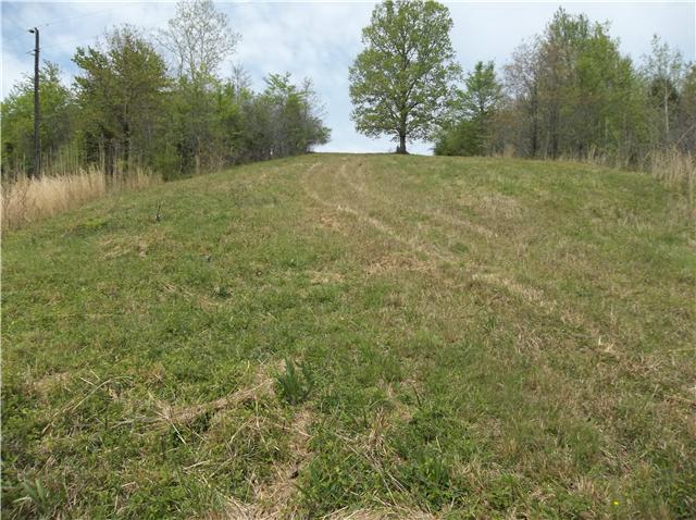 0 Shores Road Leoma, TN 38468 - Photo 13 of 18 Gallery Image 13