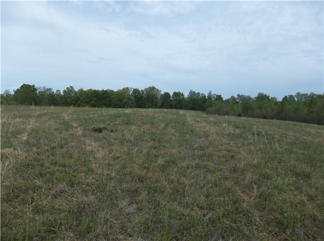 0 Shores Road Leoma, TN 38468 - Photo 14 of 18 Gallery Image 14