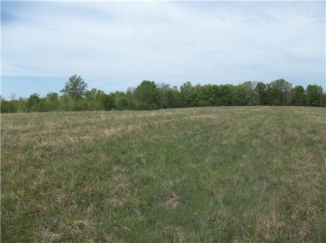 0 Shores Road Leoma, TN 38468 - Photo 15 of 18 Gallery Image 15